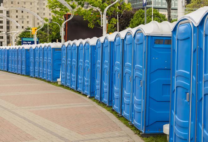 Seasonal porta potty units set up at a Adrian, Michigan venue